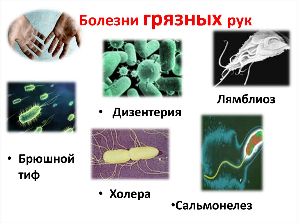 Сколько микробов. Холера брюшной тиф дизентерия. Микробы попадают в организм. Памятка болезнь грязных рук.